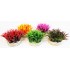 Artificial plant for aquarium Aqua Deluxe Grass 7cm - 380292